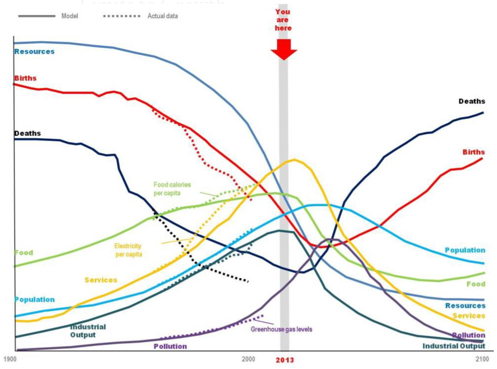 Limits to Growth 2020